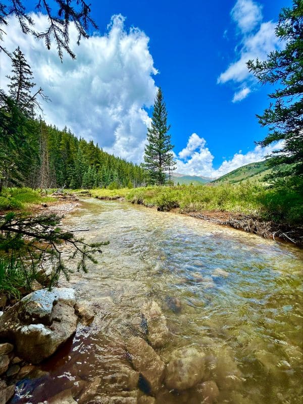 Guanella Pass Colorado